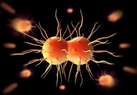 Troubling News about Gonorrhea Illustrates the Importance of Safer-Sex